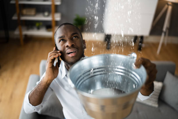 Water damage restoration mold remediation in Town N Country, FL