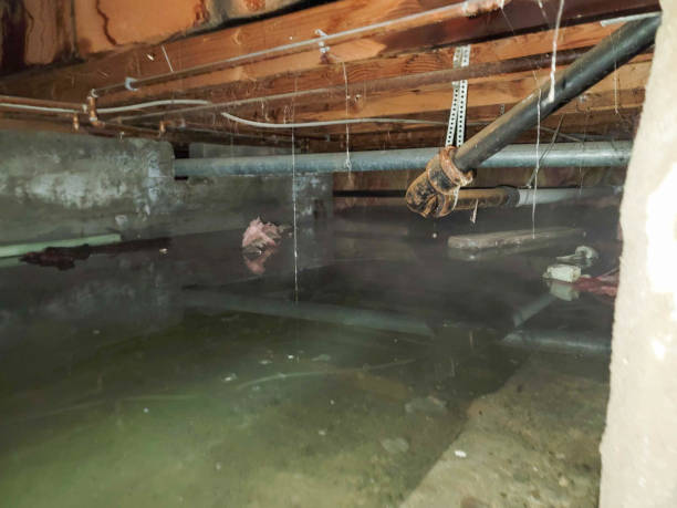 Water damage restoration insurance claims in Town N Country, FL