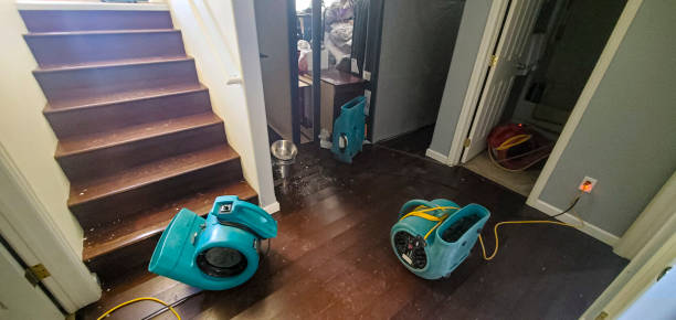 Best Professional water damage repair  in Town N Country, FL