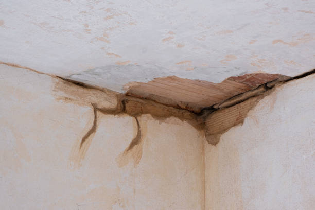 Best Flood restoration services  in Town N Country, FL
