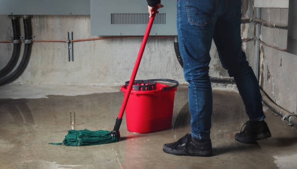 Reliable Town N Country, FL Water damage restoration Solutions
