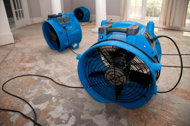 Best Water damage restoration near me  in Town N Country, FL