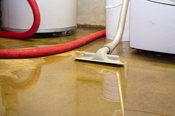 Water damage restoration process in Town N Country, FL