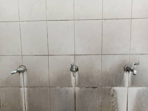 Reliable Town N Country, FL Water damage restoration Solutions