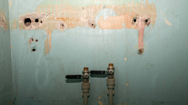Best Ceiling water damage repair  in Town N Country, FL
