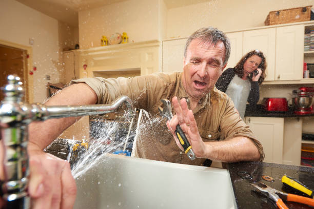 Best 24-hour water damage restoration  in Town N Country, FL